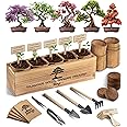 Avergo Bonsai Tree Kit – 5X Unique Japanese Bonzai Trees | Complete Indoor Starter Kit for Growing Bonsai Plants with Tools & Planters – Gardening Gifts for Women & Men