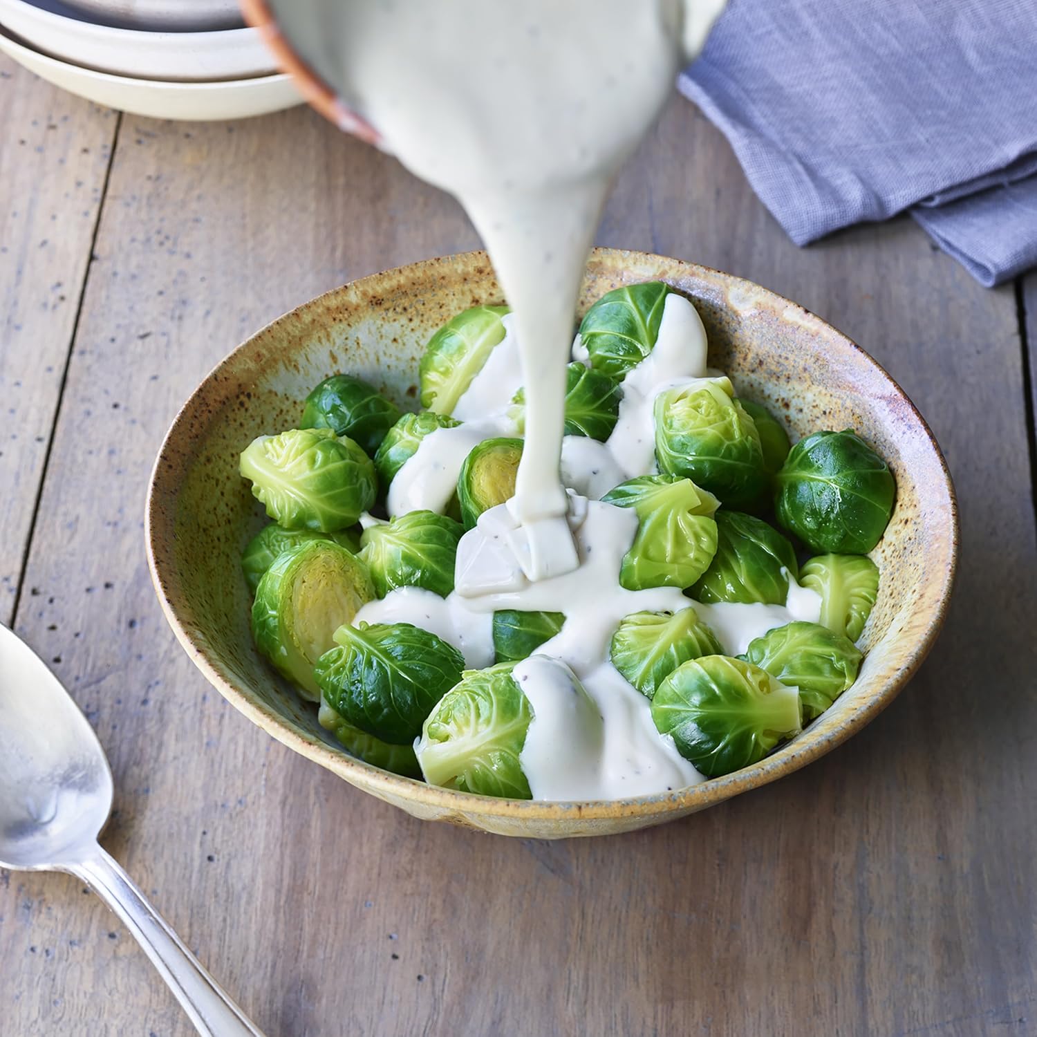 Daiya Alfredo Style Cheeze Sauce Creamy Veggie Fettuccine Spaghetti Sauce Vegan Dairy Free Gluten Free Soy Free Rich Cheesy Flavor Box