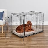 MidWest Homes for Pets 42-Inch Two-Door iCrate Folding Dog Crate with Divider view 2