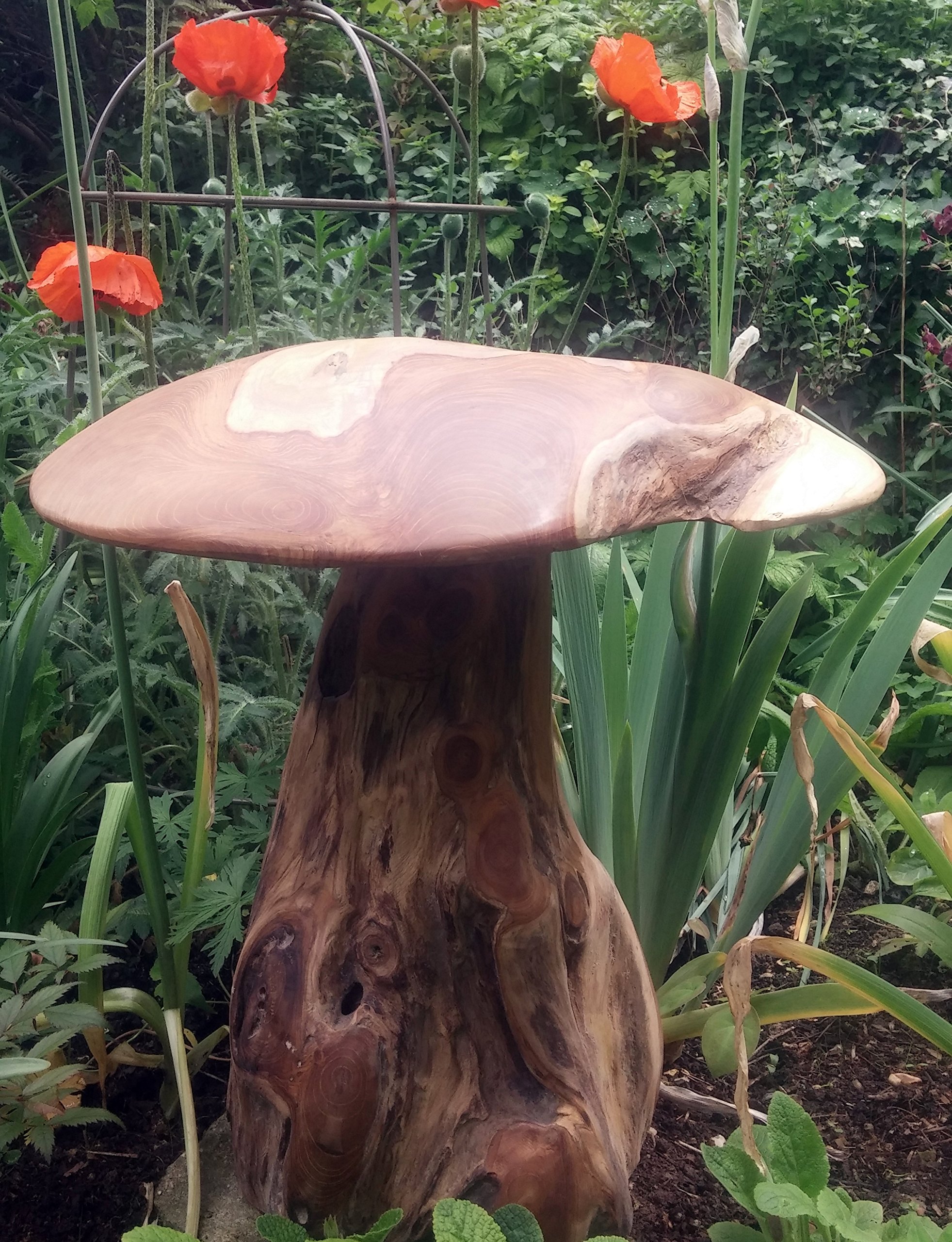 Farm and Garden Giant Teak Root Wooden Mushroom Sculpture 50cm