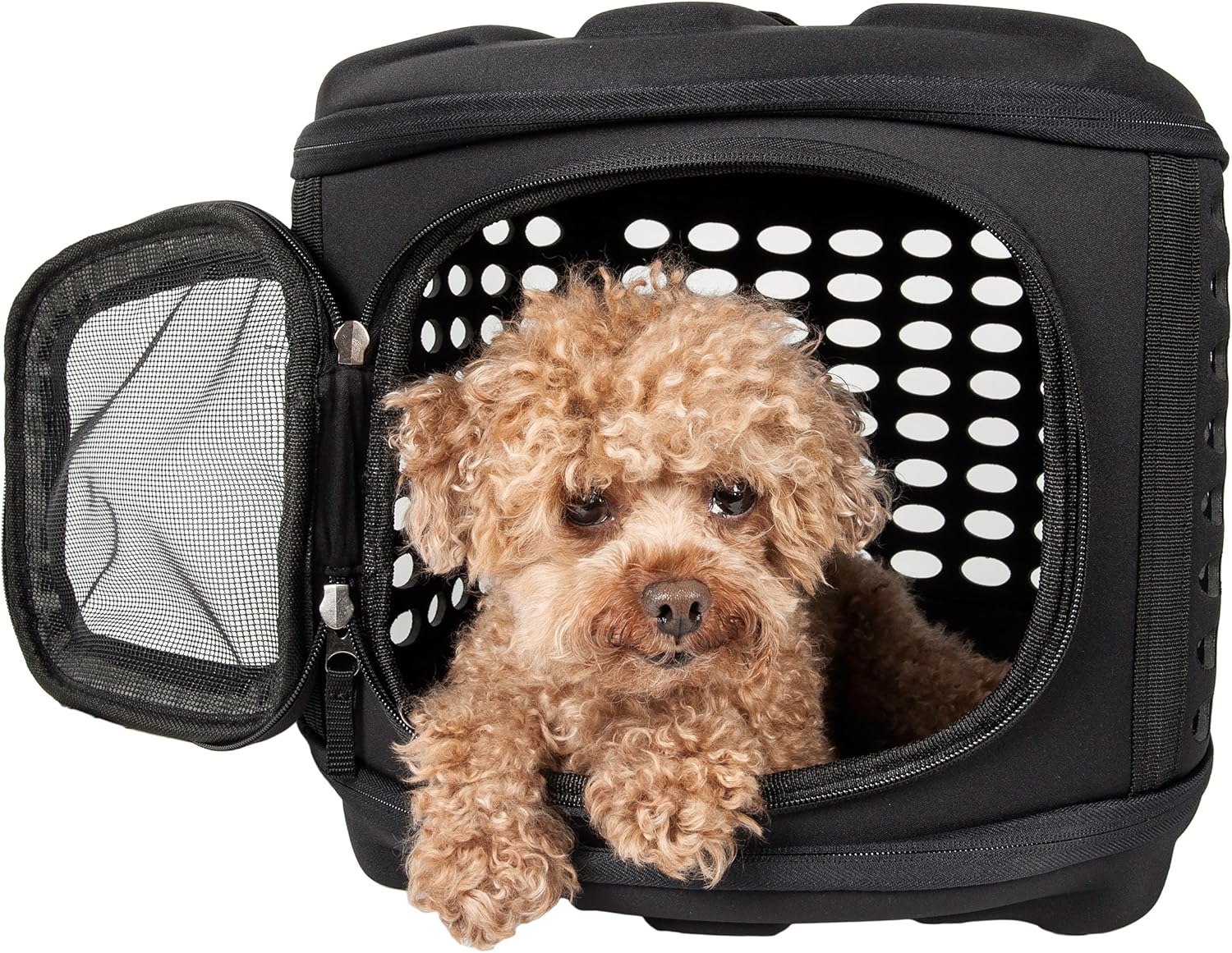 pet magasin collapsible carrier