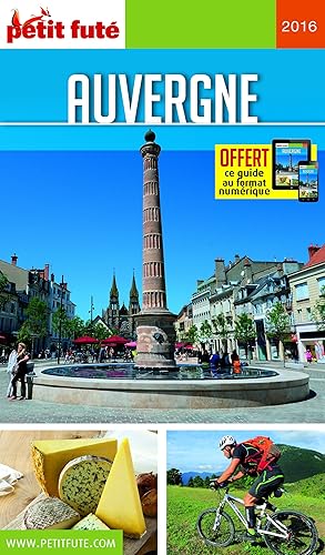 Download Petit Futé Auvergne PDF