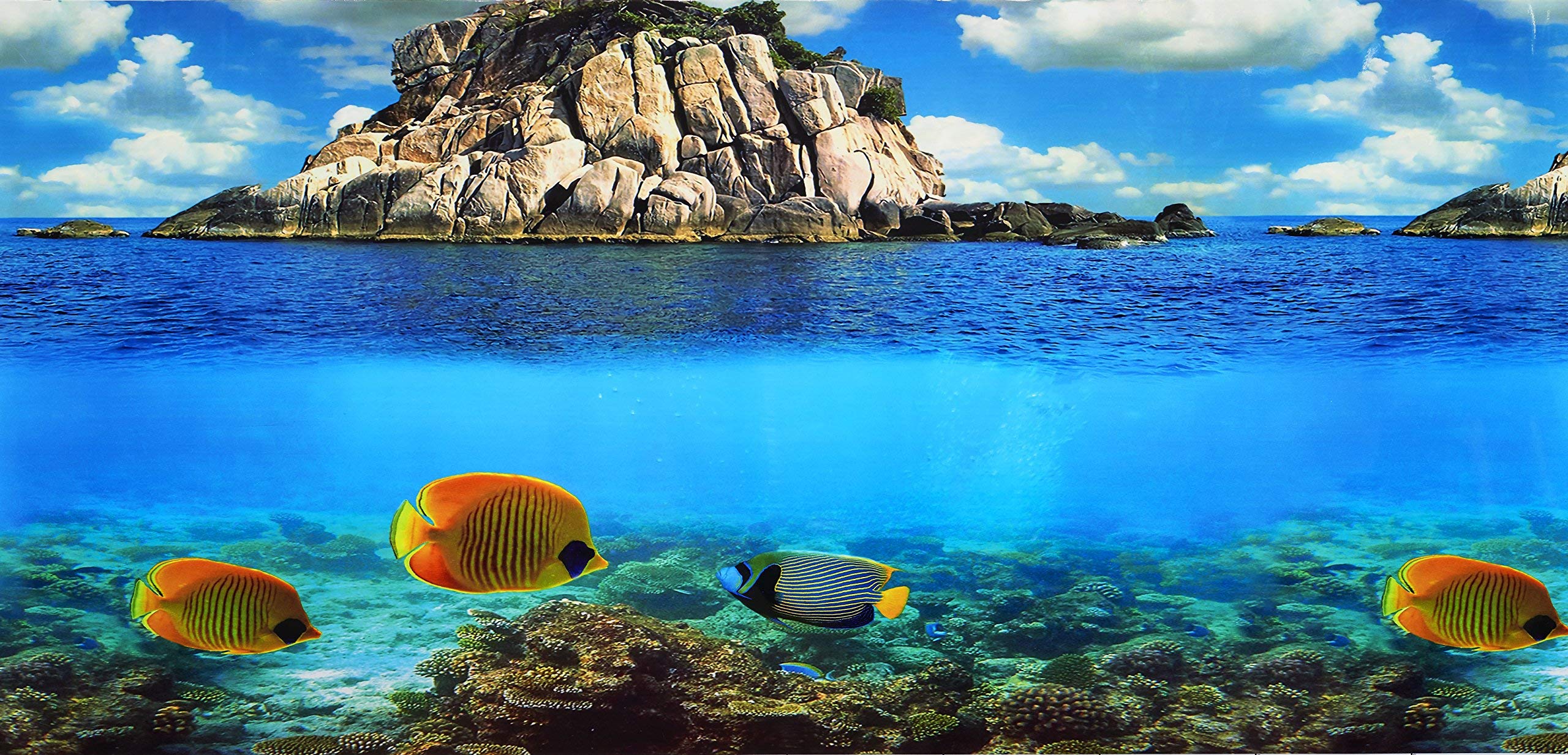 Pistachio Pet - Double-Sided Background Aquarium Poster, 45 x 100 cm