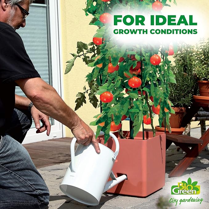 Bio Green Torre de Cultivo de Plantas Maxitom, Terracota: Amazon ...