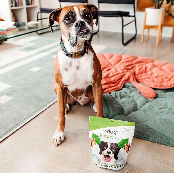 V-DOG KIND JERKY – 100% VEGAN JERKY DOG TREATS – PLANT BASED PROTEIN AND SUPERFOODS – 8 OUNCE – ALL NATURAL – MADE IN THE USA