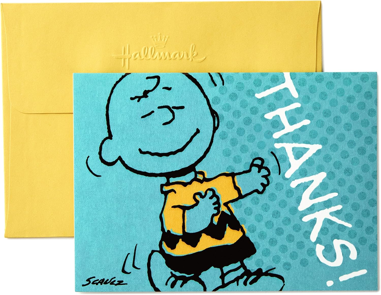 Hallmark Peanuts Charlie Brown Thank You Cards (10 Cards