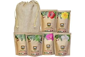 Java Planet - Coffee Beans, Organic Coffee Sampler Pack in Linen Bag, Whole Bean Variety Pack, Arabica Gourmet Specialty Coffee, 1.32 POUNDS of coffee packaged in six 3.2 oz bags
