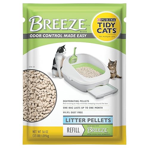 Best Cat Litter for Odor Control Top 6 Picks & Reviews In 2020