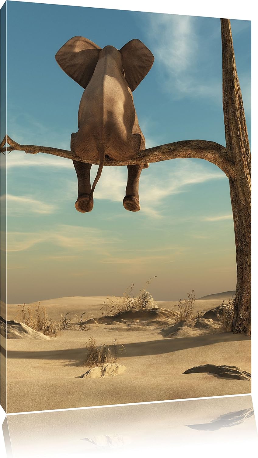 Pixxprint sitting elephant on a tree branch in the desert, format 100x70 on canvas Amazon.co