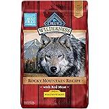 blue wilderness alligator