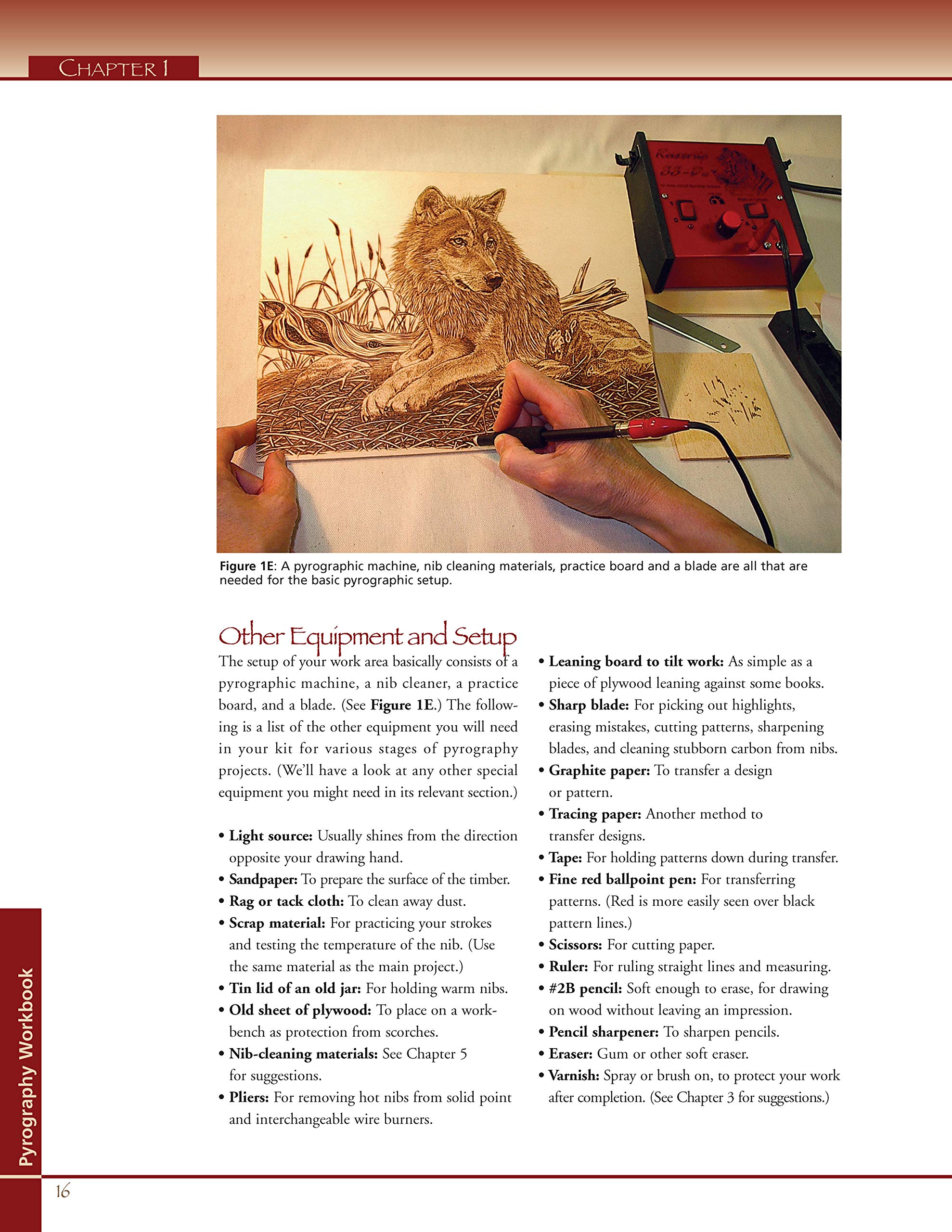 Pyrography Workbook: A Complete Guide to the Art of Woodburning (Fox Chapel Publishing) Step-by-Step Projects and Original Patterns for Beginners, Intermediate, and Advanced Woodburners