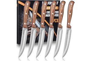 DRAGON RIOT Steak Knives Set of 6, Ultra Sharp Steak Knife Set Japanese VG-10 Stainless Steel Non Serrated Steak Knives Full 