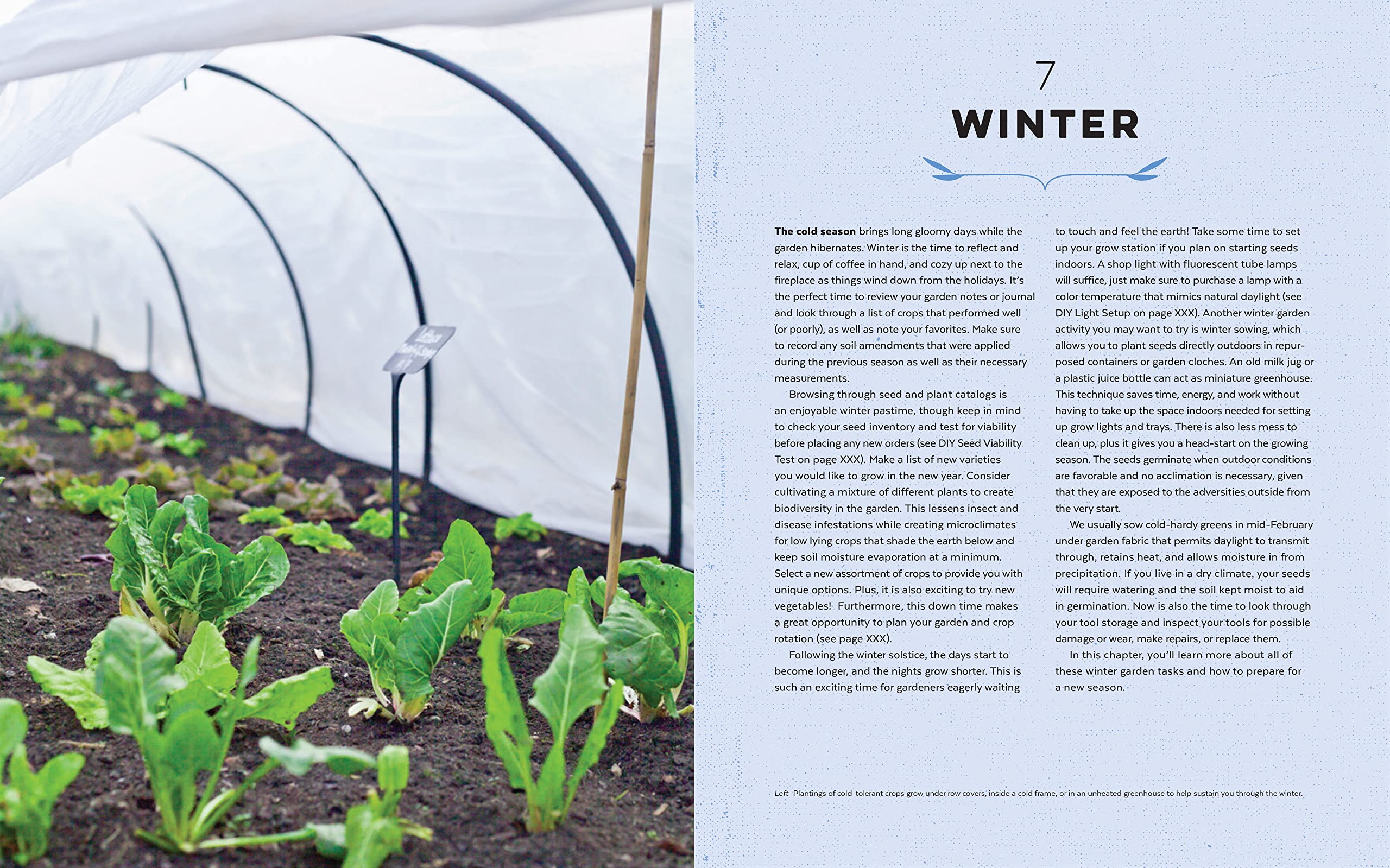 Four-Season Food Gardening: How to grow vegetables, fruits, and herbs year-round