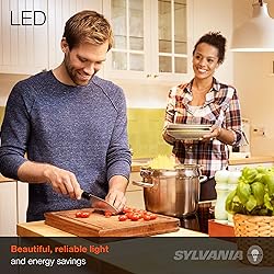 SYLVANIA ECO LED A19 Light Bulb, 60W Equivalent