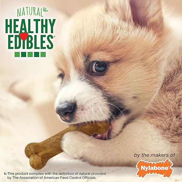 NYLABONE HLTHY EDIBLE PUP LAMB & APPLE PET 8PK