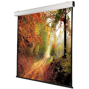 celexon Pantalla motorizada para Escuela, proyección, presentación ...