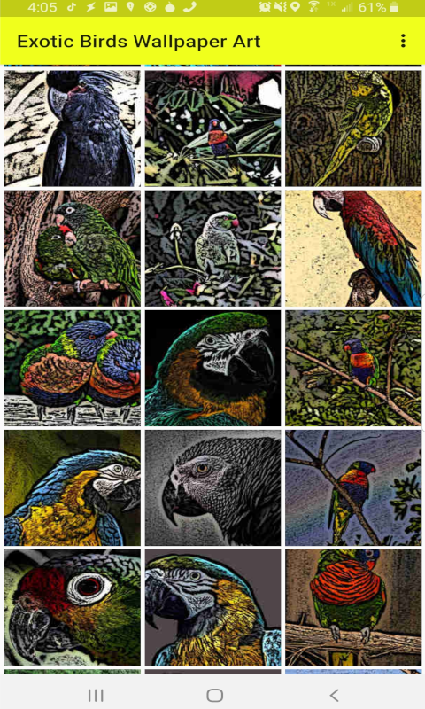 Exotic Birds Wallpaper Art (HD)