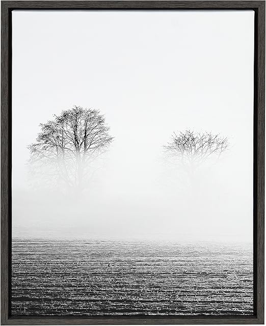 Amazon Com Kate And Laurel Sylvie Black And White Photo Of