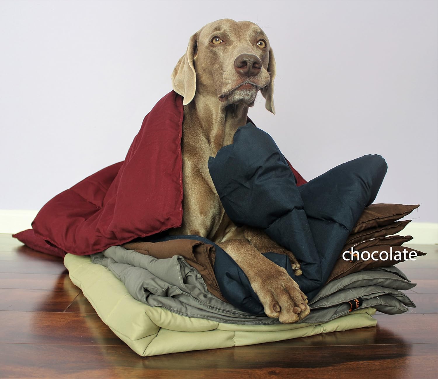 hypoallergenic blankets for dogs