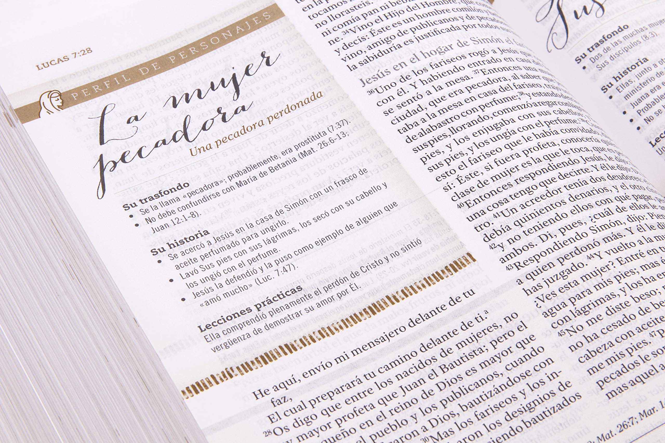 Biblia Reina Valera 1960 de Estudio para Mujeres, Tapa dura | RVR 1960 Women's Study Bible, Hardcover (Spanish Edition) Biblia Reina Valera 1960 de Estudio para Mujeres, Tapa dura | RVR 1960 Women's Study Bible, Hardcover (Spanish Edition) Hardcover