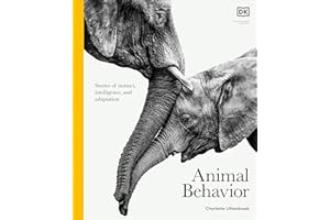 Animal Behavior: Life in the Wild (DK Definitive Visual Encyclopedias)