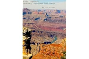 Loving Common Lisp, or the Savvy Programmer’s Secret Weapon
