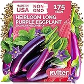 175 Long Purple Eggplant Heirloom Vegetable Seeds, Solanum Melongena | Dark Purple Italian Eggplant Seed Packets, Heirloom Seeds, Vegetable Seeds for Planting Outdoors, Indoor Garden
