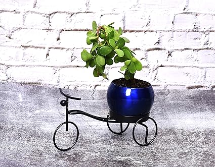 HINS Black Cycle Riksha With Shiny Metal Round Shape Flower Plant Pot For Indoor Plants (Blue, Small) Metal Pots For Indoor Plants I Elevated Garden Planter I Raised Planter I Desk Plant I Raised Planter Box I Ascent Homes Metal Planter I Raised Planter Box With Legs I Brass Pots For Indoor Plants I Golden Planter I Mid Century Plant Stand I Brass Planters For Indoor Plants I Indoor Plant Stand For Living Room I Metal Planters Pot For Indoor Plants designer pot
