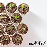 Keplin 96 Pack Biodegradable Seed Pots 5x6cm Compostable Seedling Pots view 6