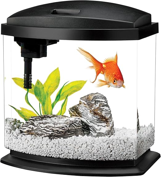 Fish R Fun Aquarium Starter Kit Aquarium Views
