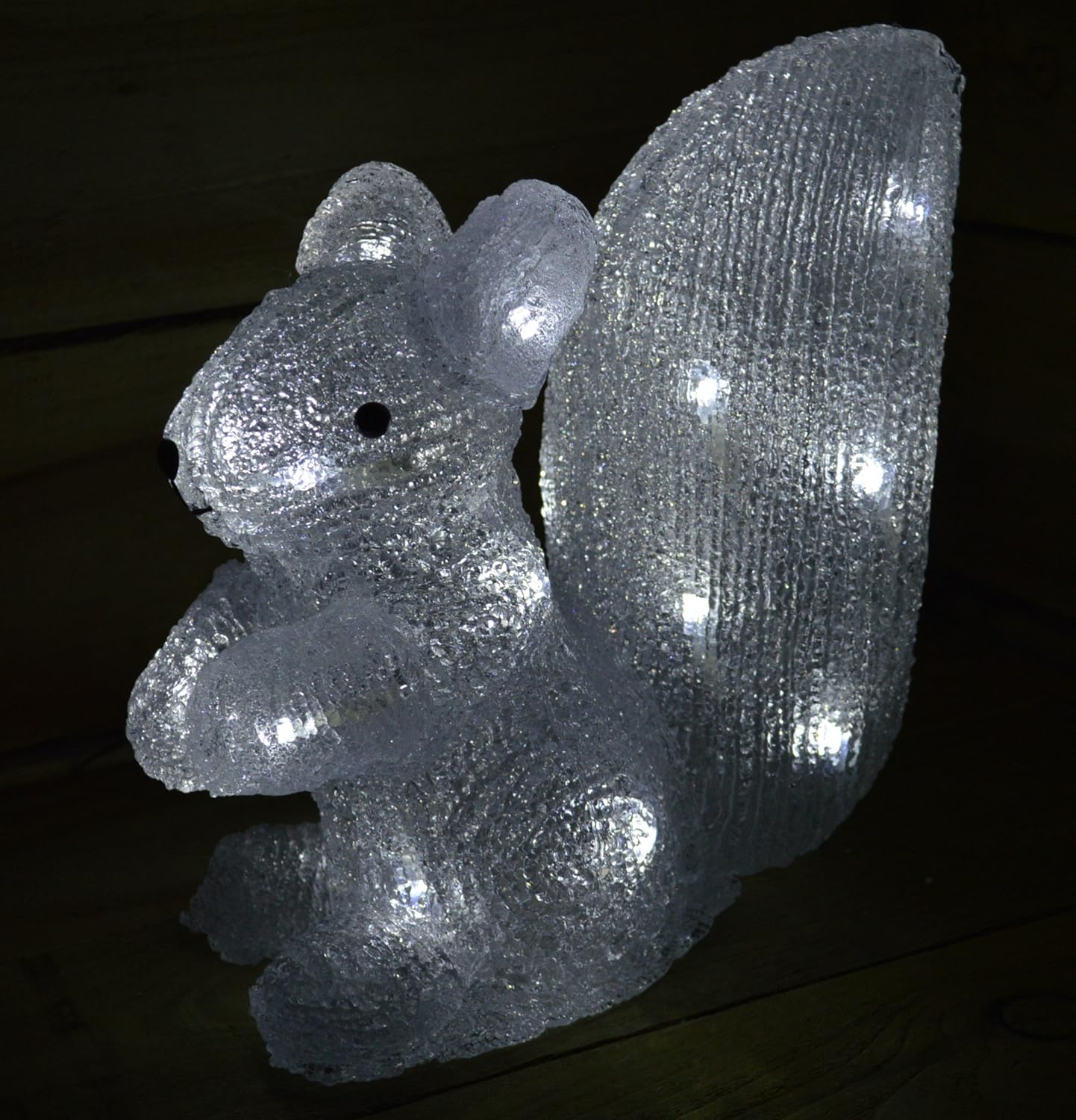 Cool White Outdoor LED Acrylic Squirrel Christmas Decoration Brand New