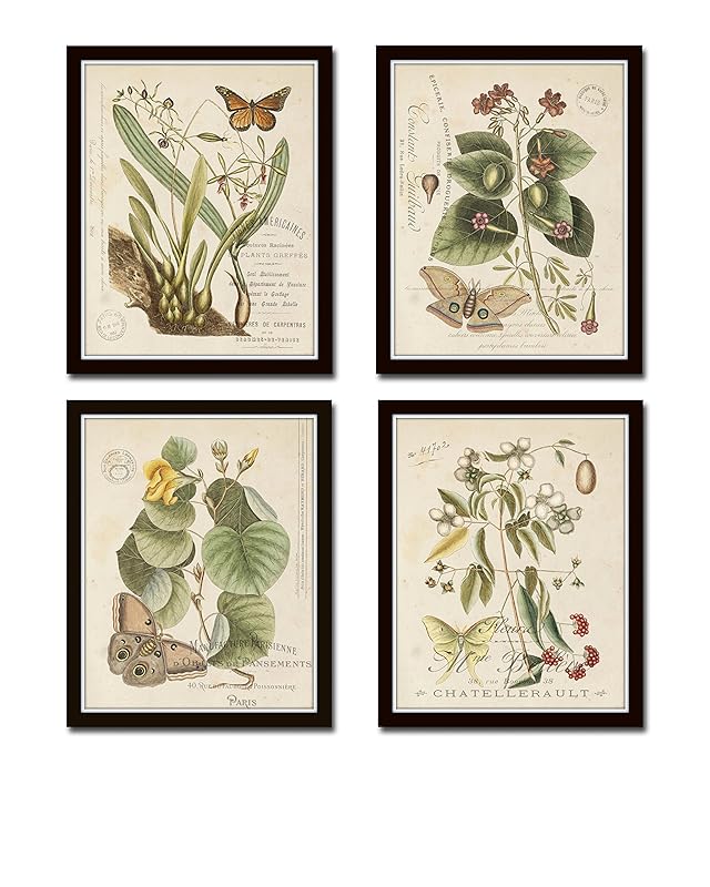 Amazon.com: Vintage Butterfly and Botanical Print Set No.1 Set of 4