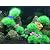 BEGONDIS 4Pcs Aquarium Decorations Fish Tank Artificial