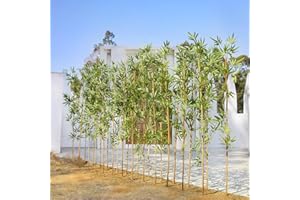 VERINATURAL Artificial Bamboo Plant 6Ft Privacy Fence Screen - Real Bamboo Poles & UV-Resistant Faux Leaves for Indoor Outdoor, Fake Plants for Garden, Patio - Balcony Privacy Cover,Decorative Fencing 24Pcs,VN144
