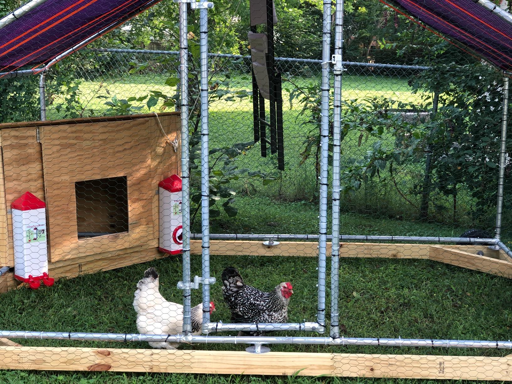 42/mo Finance ALEKO Metal DIY Walkin Chicken Coop or Chicken Run with Blue Waterproof Cover
