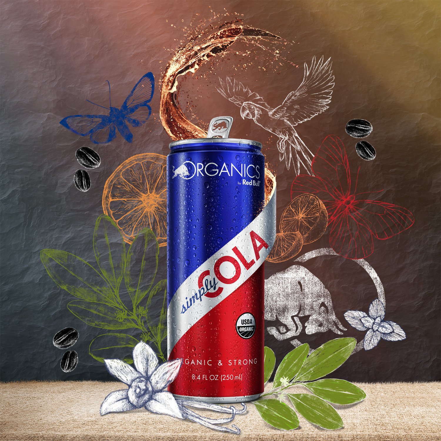 Amazon Com Organics By Red Bull Simply Cola 24 Pack Of 8 4 Fl Oz Organic Soda Drink Grocery Gourmet Food