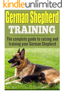 german shepherd savvy