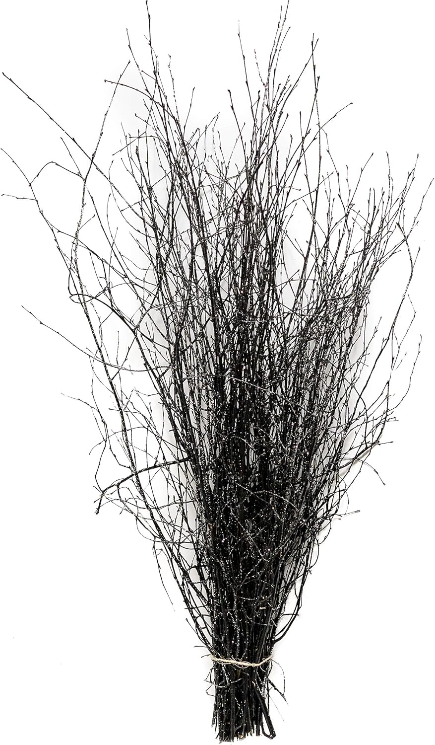 Decorative Coloured Birch Twigs and Branches Black with Silver