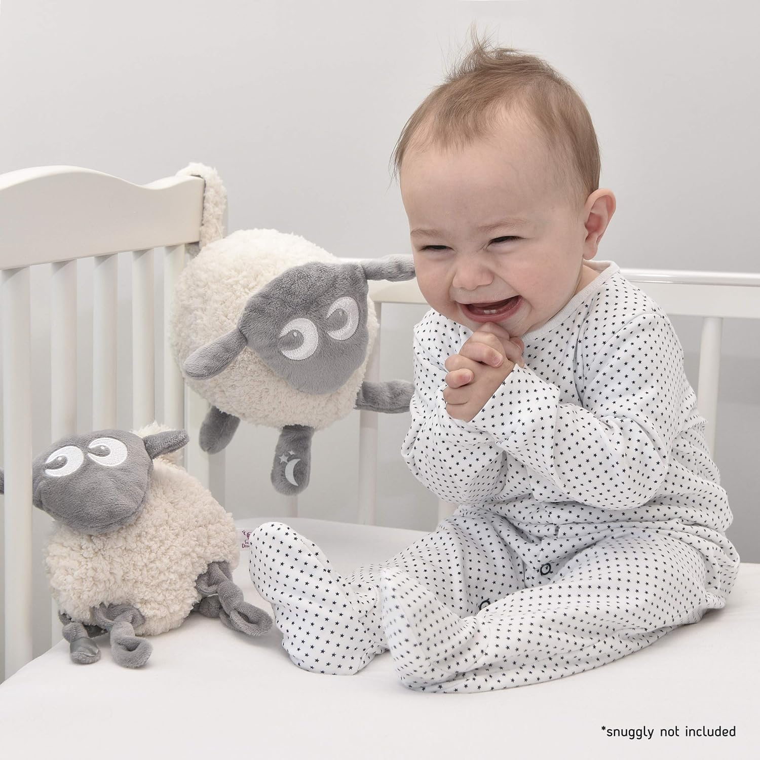 sweet dreamers sheep