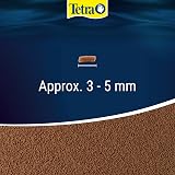 Tetra Japan Goldfish Mini-Sticks Premium Food 100 ml for Fancy Goldfish view 6
