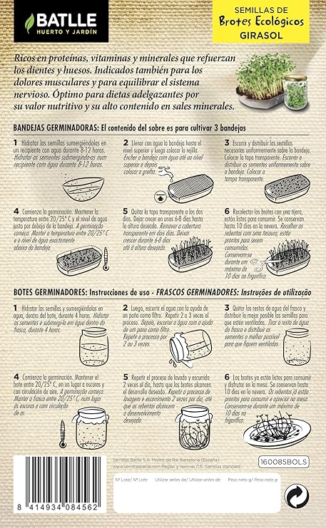 Semillas Ecológicas Brotes - Brotes ecológicos de Mostaza Blanca ...