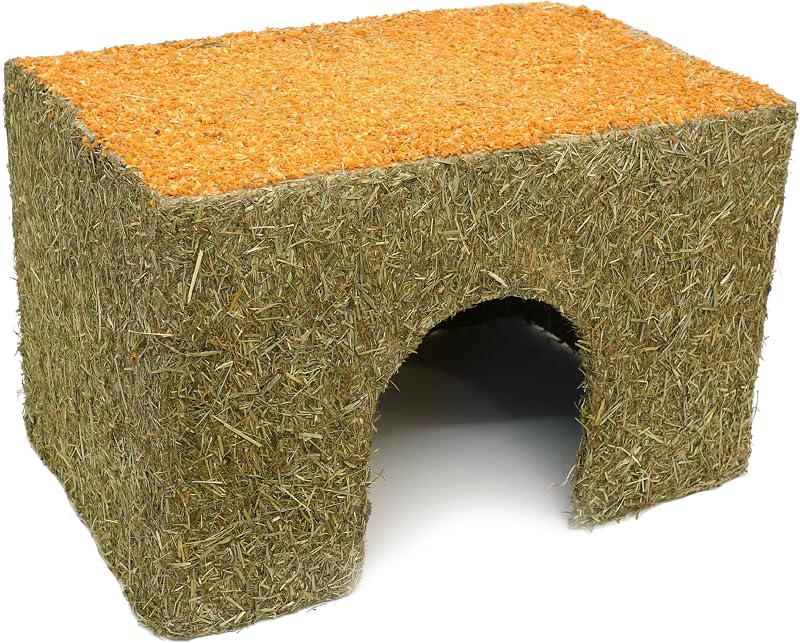 Rosewood Large Carrot Cottage Edible Toy for Small Animals