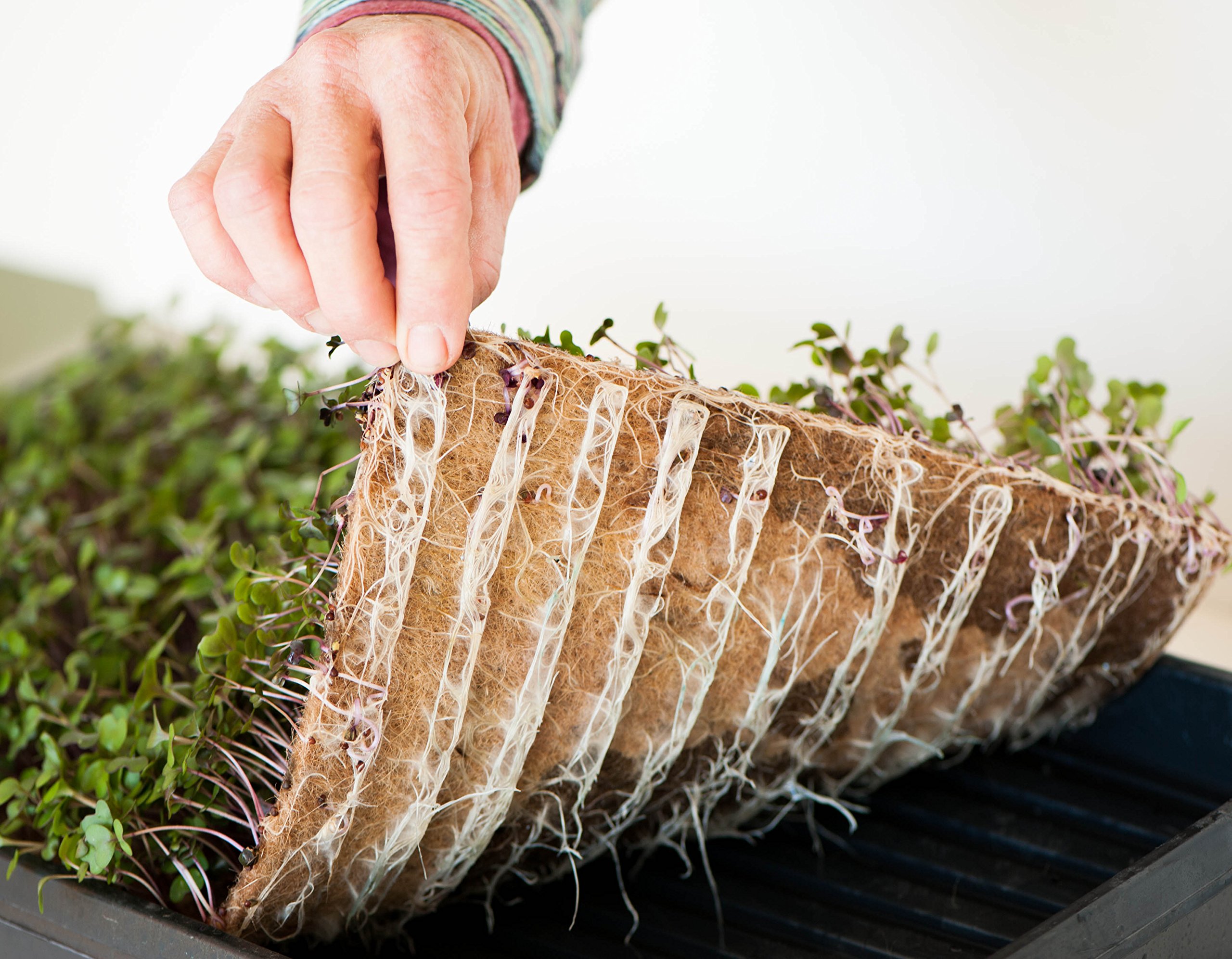 GreenEase Jute Microgreen Hydroponic Grow Pads 10 Pack Fits 10x10