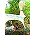 彼とわたしの漂流日記(DVD)