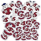 Desert Cactus South Carolina State University Sticker SCSU Bulldogs Vinyl Decals Laptop Water Bottle Car Scrapbook Sheet T1 (Type 1-1)