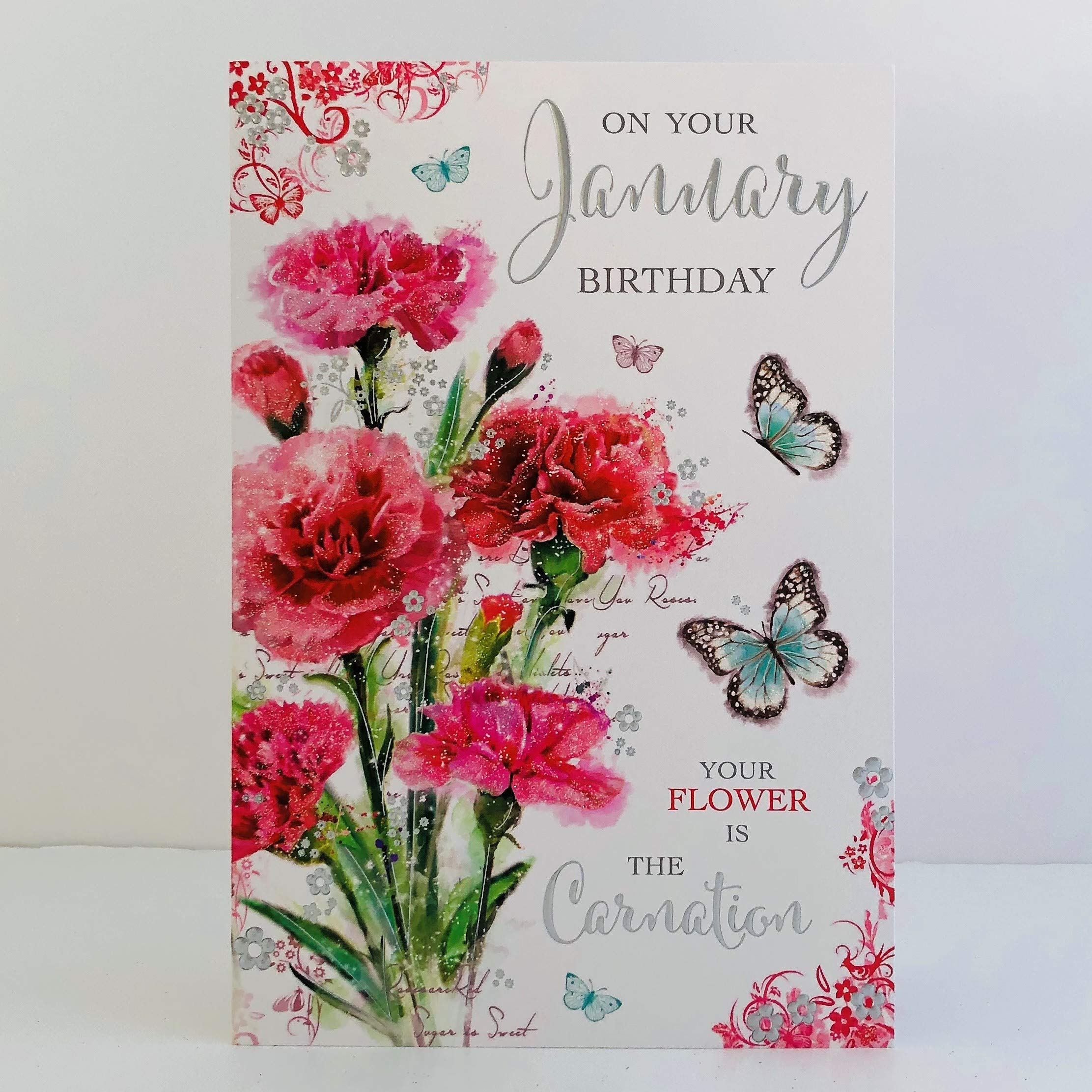 Jonny Javelin Female On Your January Birthday Card - Carnations Butterflies