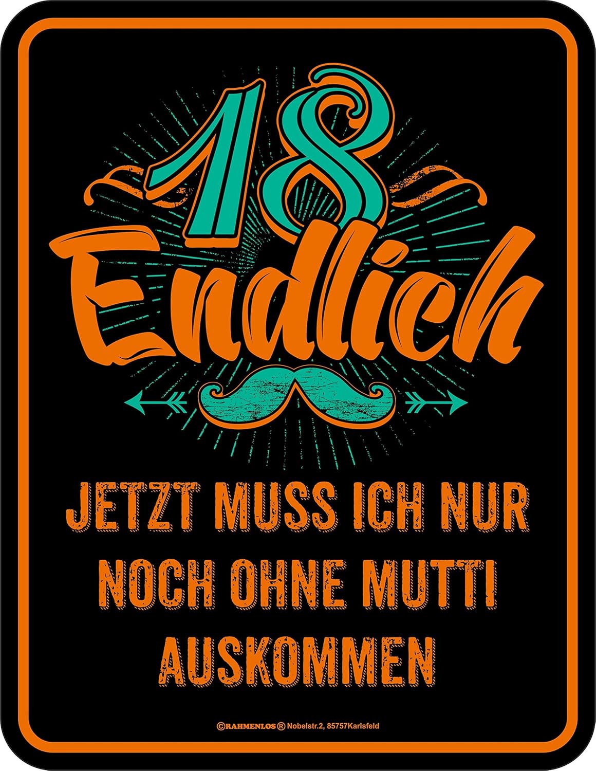 RAHMENLOS® Blechschild 18.ter Geburtstag Endlich 18, ohne Mutti