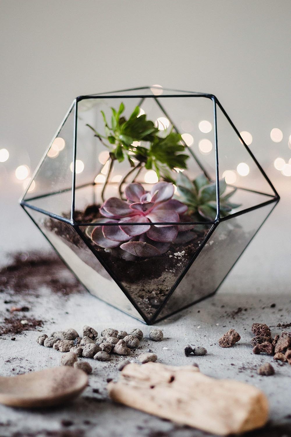 Waen Large Clear Glass Geometric Terrarium Container
