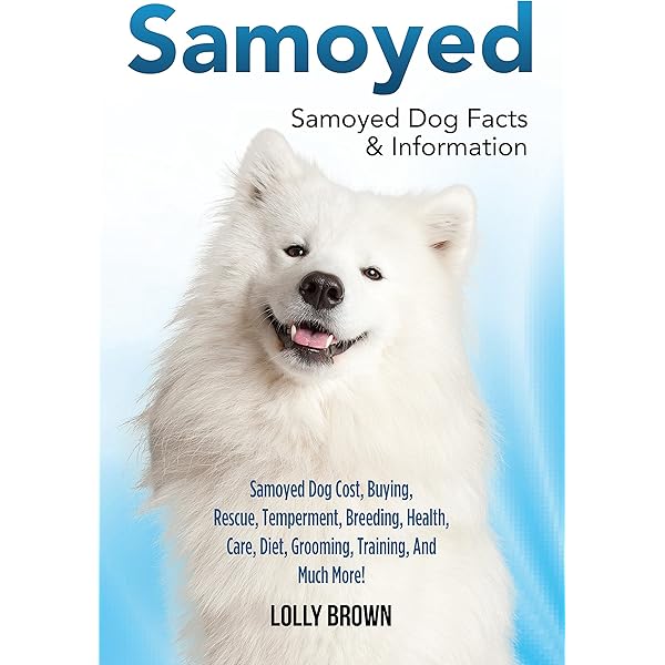 samoyed grooming tools