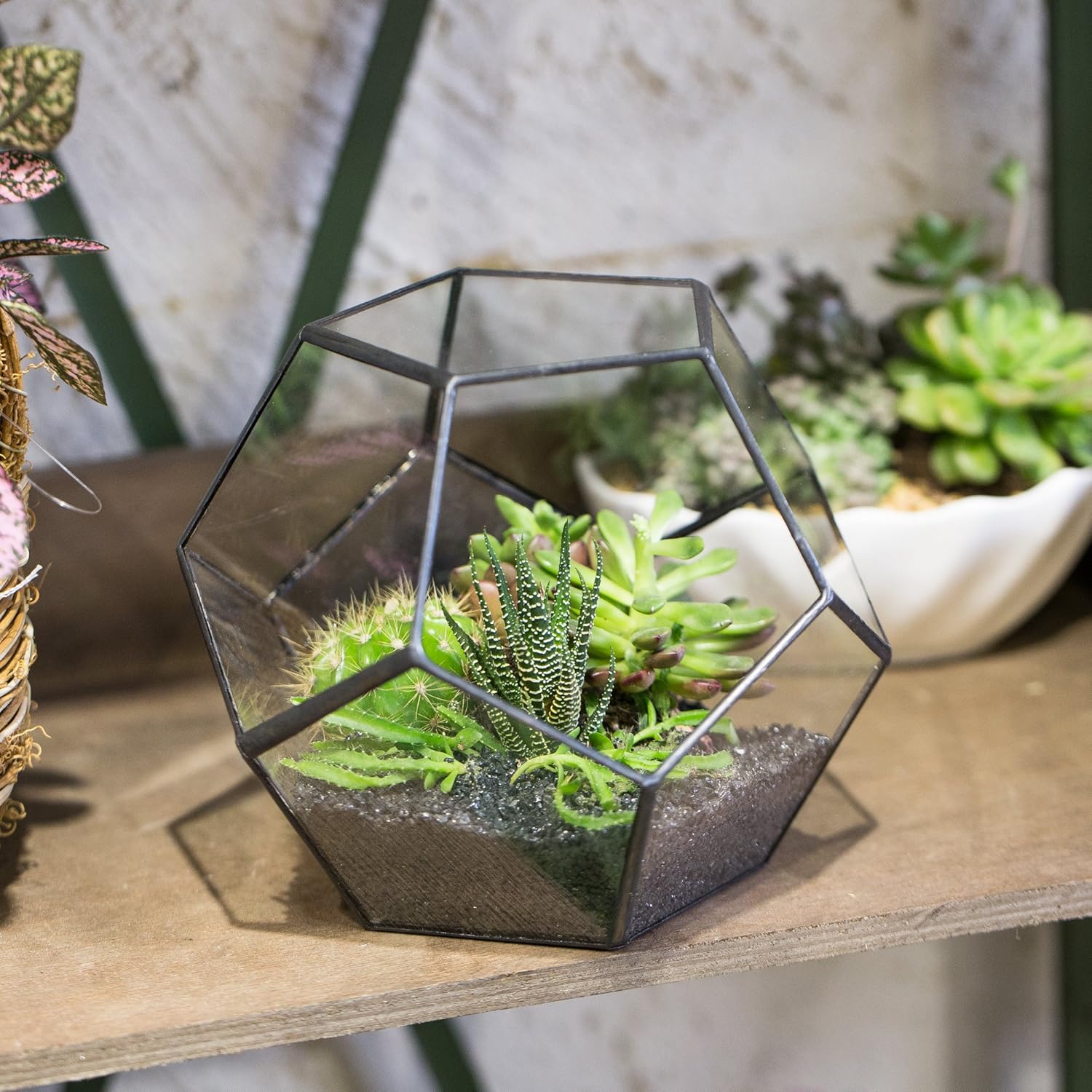 Black Glass Geometric Terrarium Container Modern Tabletop Window Sill Decor Flower Pot Balcony Planter Diy Display Box for Succulent Fern Moss Air Plants Miniature Fairy Garden Gift (No Plants): Garden & Outdoor